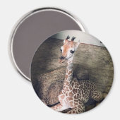 Angel Magnet #2 (Vorderseite/Rückseite)