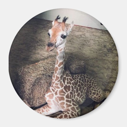 Angel Magnet #2 (Vorne)