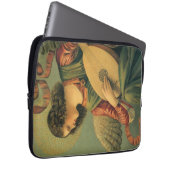 Angel Musician, Melozzo da Forli, Renaissance Art Laptopschutzhülle (Vorne Rechts)