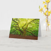 Angel Oak Karte (Gelbe Blume)