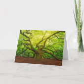 Angel Oak Karte (Vorderseite)