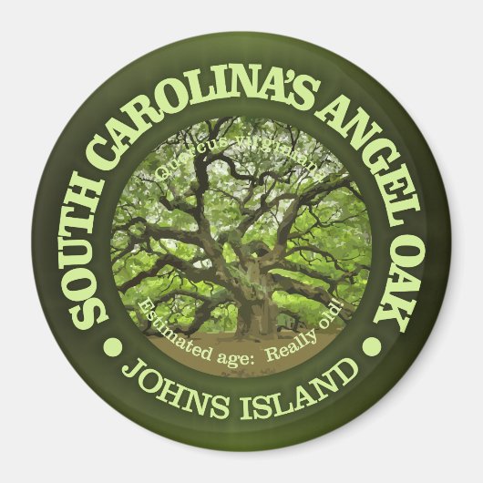 Angel Oak Magnet (Vorne)