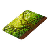 Angel Oak Magnet (Linke Seite)