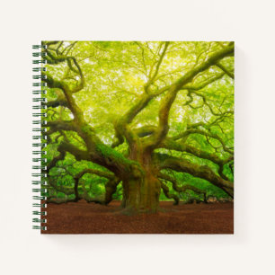 Angel Oak Notizblock