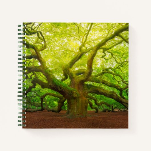 Angel Oak Notizblock (Vorderseite)