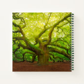 Angel Oak Notizblock (Rückseite)