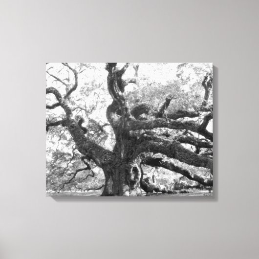 Angel Oak on canvas Leinwanddruck (Vorderseite)