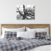 Angel Oak on canvas Leinwanddruck (Insitu (Schlafzimmer))