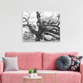 Angel Oak on canvas Leinwanddruck (Insitu (Wohnzimmer))