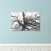Angel Oak on canvas Leinwanddruck (Insitu (Holzboden))