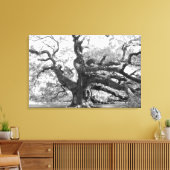 Angel Oak on canvas Leinwanddruck (Insitu (Wohnzimmer))
