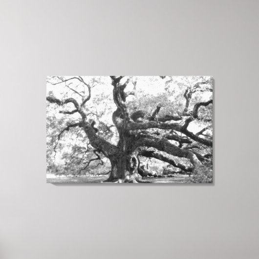 Angel Oak on canvas Leinwanddruck (Vorderseite)
