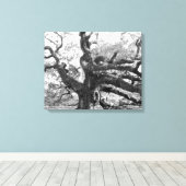 Angel Oak on canvas Leinwanddruck (Insitu (Holzboden))
