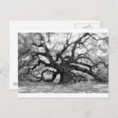 Angel Oak Postkarte (Vorne/Hinten)