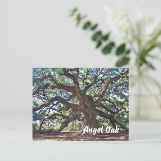 Angel Oak Postkarte (Stehend Vorderseite)