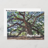 Angel Oak Postkarte (Vorne/Hinten)