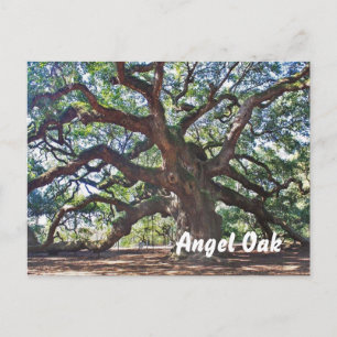 Angel Oak Postkarte