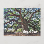 Angel Oak Postkarte (Vorderseite)