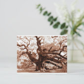 Angel Oak Postkarte (Stehend Vorderseite)