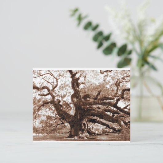 Angel Oak Postkarte (Stehend Vorderseite)