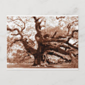 Angel Oak Postkarte (Vorderseite)