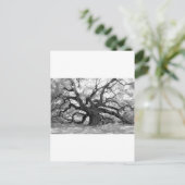 Angel Oak Postkarte (Stehend Vorderseite)