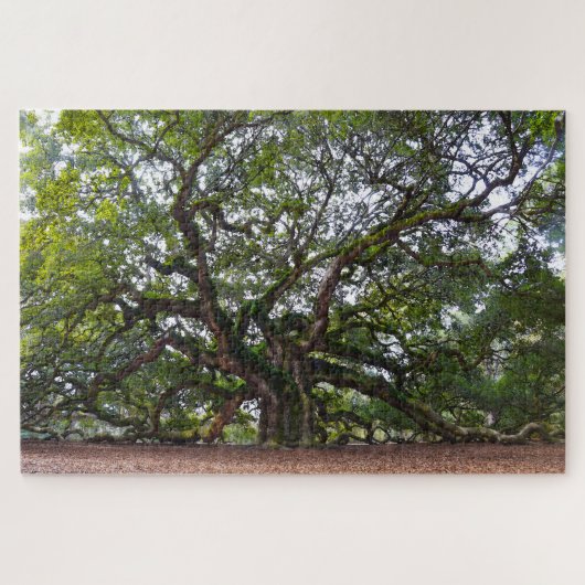 Angel Oak, South Carolina Puzzle (Horizontal)