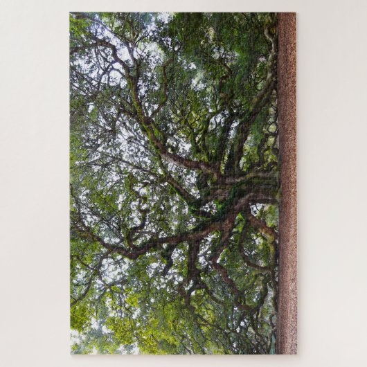 Angel Oak, South Carolina Puzzle (Vertikal)