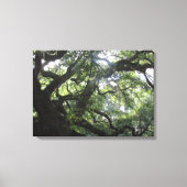 Angel Oak Tree Canvas Print Leinwanddruck (Vorderseite)
