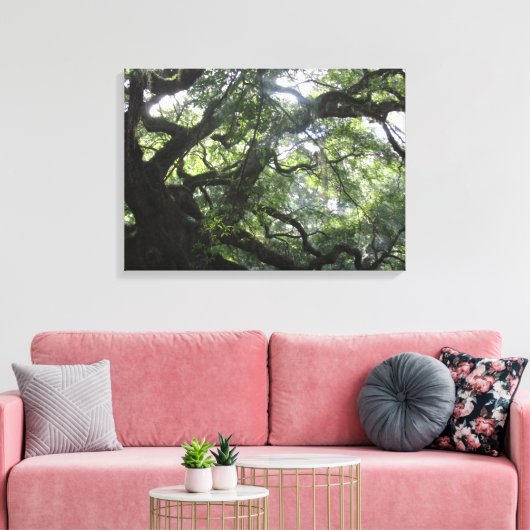 Angel Oak Tree Canvas Print Leinwanddruck (Insitu (Wohnzimmer))