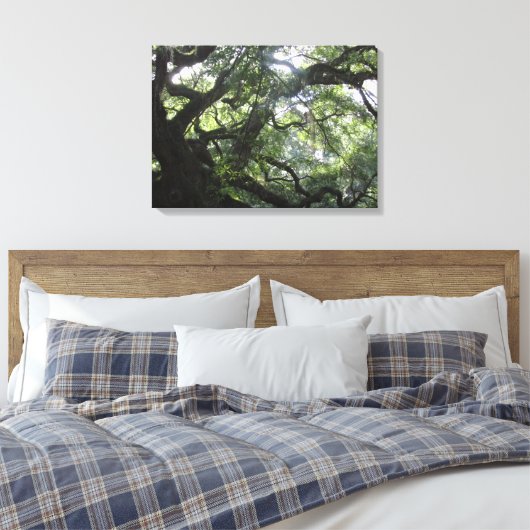 Angel Oak Tree Canvas Print Leinwanddruck (Insitu (Schlafzimmer))