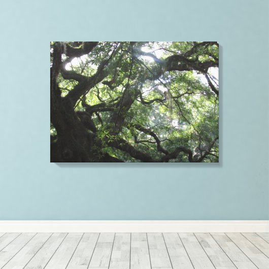Angel Oak Tree Canvas Print Leinwanddruck (Insitu (Holzboden))