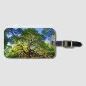 Angel Oak Tree Gepäckanhänger (Vorderseite (Horizontal))