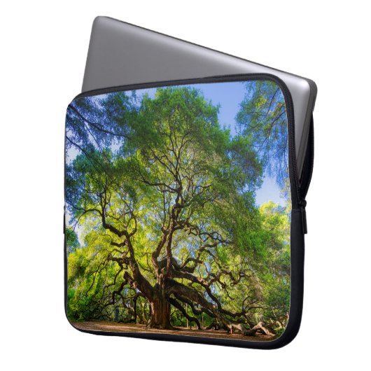 Angel Oak Tree Laptopschutzhülle (Vorderseite Links)