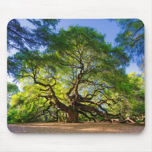 Angel Oak Tree Mousepad (Vorne)