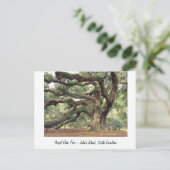 Angel Oak Tree near Charleston, SC Postkarte (Stehend Vorderseite)
