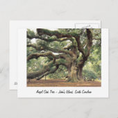 Angel Oak Tree near Charleston, SC Postkarte (Vorne/Hinten)