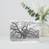 Angel Oak Tree Postkarte (Stehend Vorderseite)