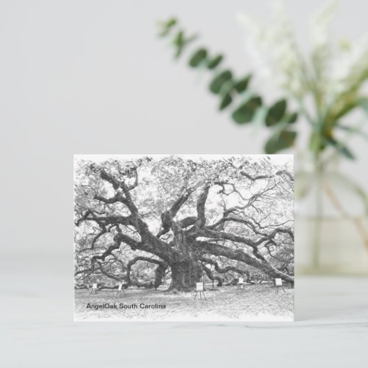 Angel Oak Tree Postkarte (Stehend Vorderseite)