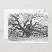 Angel Oak Tree Postkarte (Vorne/Hinten)
