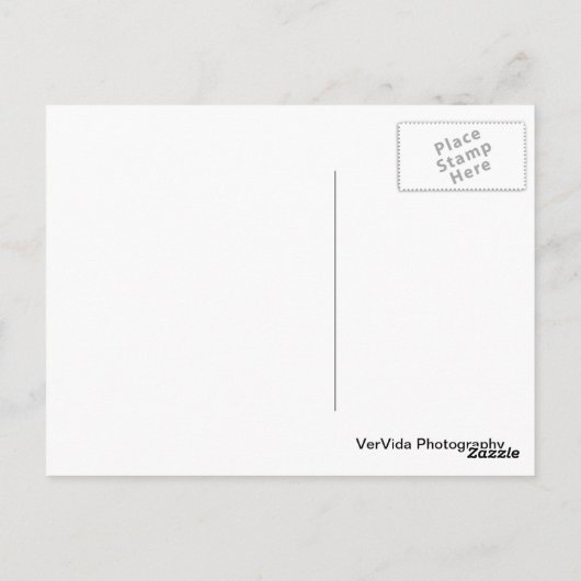 Angel Oak Tree Postkarte (Rückseite)