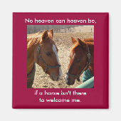 Angel Pferde - Magnet (Vorne)