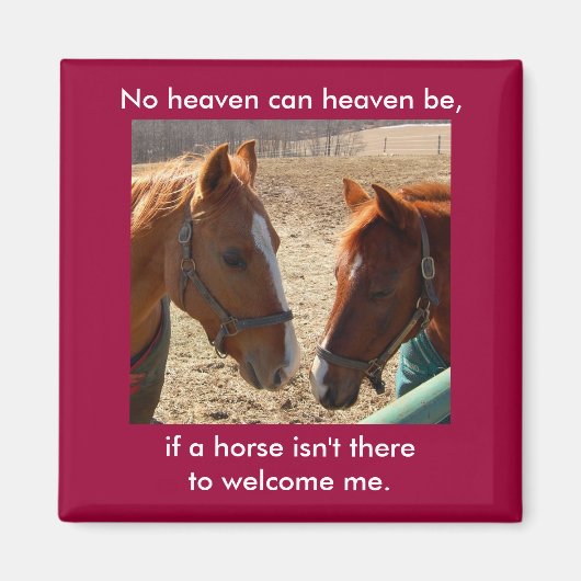 Angel Pferde - Magnet (Vorne)