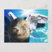 Angel Pig Postkarte (Vorderseite)