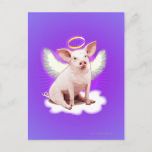 Angel Pig Postkarte