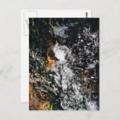 ANGEL POSTKARTE (Vorne/Hinten)