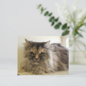 Angel Postkarte (Stehend Vorderseite)