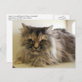 Angel Postkarte (Vorne/Hinten)