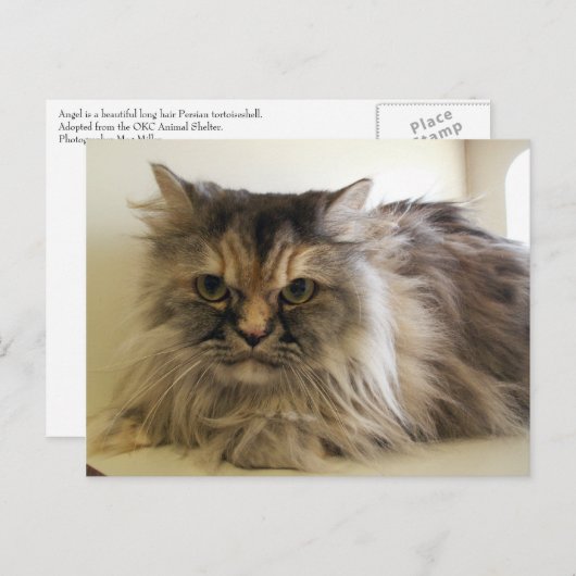 Angel Postkarte (Vorne/Hinten)