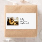 Angel Power (Insitu)